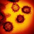 Koronavirus - ilustrační foto