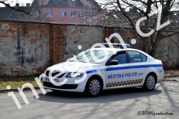 Vůz městské policie