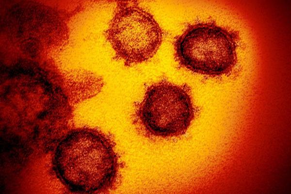 Koronavirus - ilustrační foto