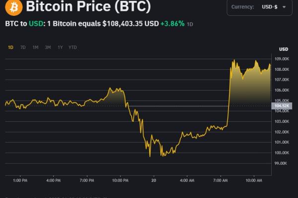 Bitcoin 20. 1. 2025, zdroj: binance.com