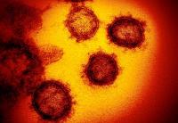 Koronavirus - ilustrační foto
