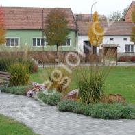 Dobrochov