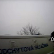 Odchyt labutí brněnskými strážníky