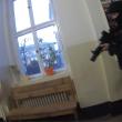 Zásah policistů v Ječné ulici